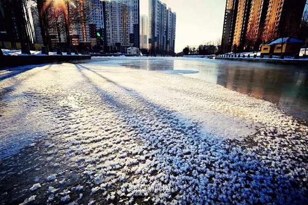 漂亮！昨天哈尔滨冰河开花了 | 你知道为什么叫“打春”吗？
