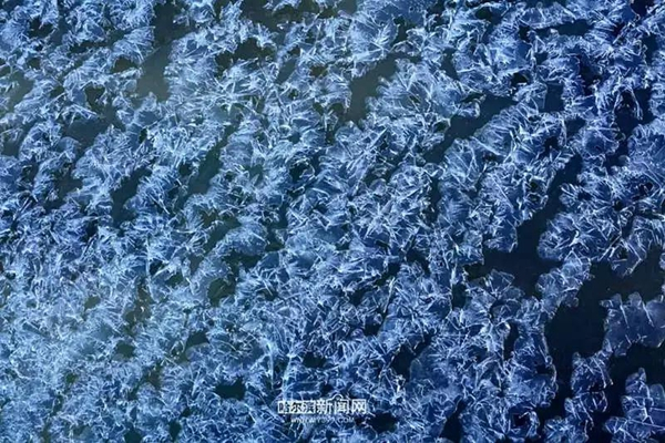 漂亮！昨天哈尔滨冰河开花了 | 你知道为什么叫“打春”吗？