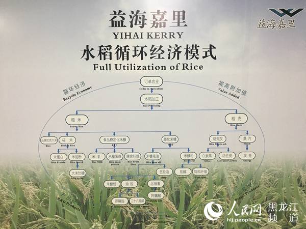 黑龙江：做好“三篇大文章” 爬坡过坎激活力