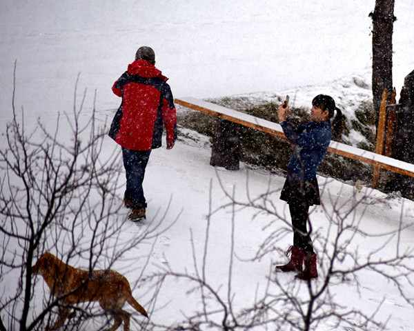 黑龙江漠河：神州北极迎降雪最低气温-8℃ 游客雪中欢呼