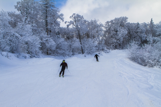 亚布力滑雪旅游度假区本月中旬“开滑”