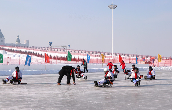 第二届中国残疾人冰雪运动季高峰活动暨黑龙江主场活动在哈尔滨举行