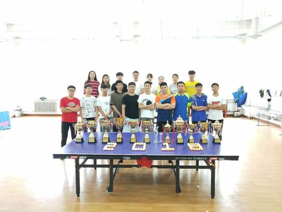 黑龙江农业工程职业学院学生在2018年全省大学生乒乓球锦标赛中获骄人战绩