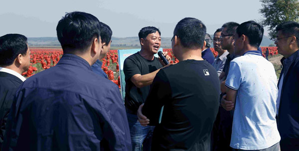 黑龙江省现代农业产业园培训推进活动在牡丹江宁安举行